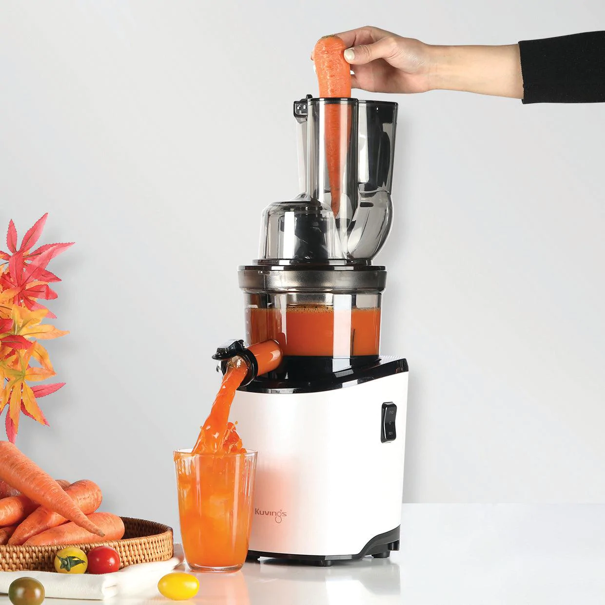 Kuvings REVO830 Full Review - Best Juicer For Celery, Carrots